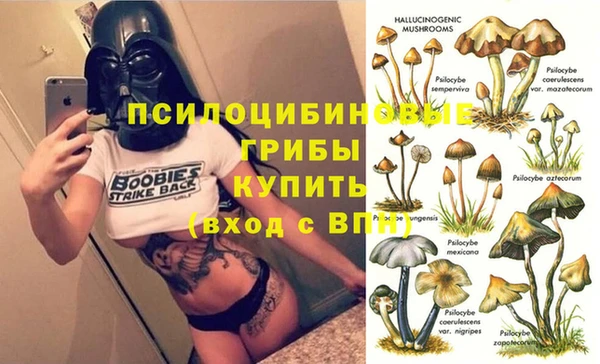 прущие крисы Алексеевка