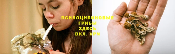 прущие крисы Алексеевка