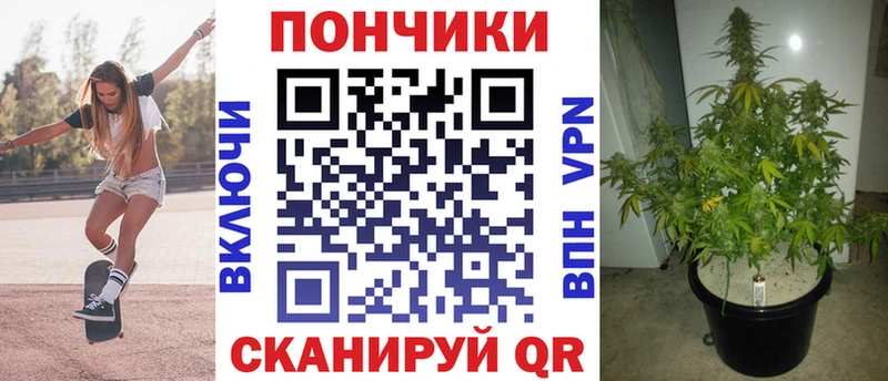 Канабис OG Kush  Новокубанск 